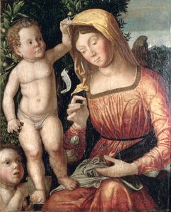 Costura Madonna